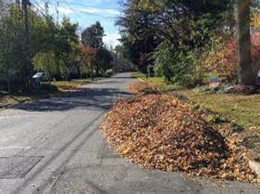 valparaiso public works|Yard Waste and Leaf Pickup .